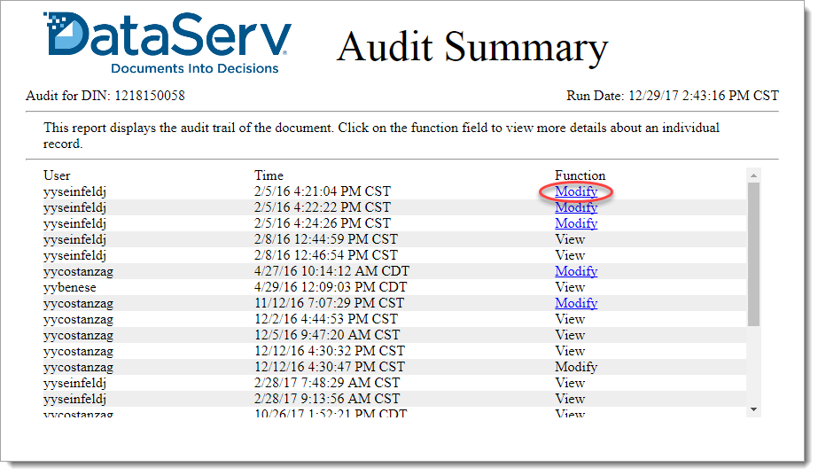 DV-AuditSummary.png